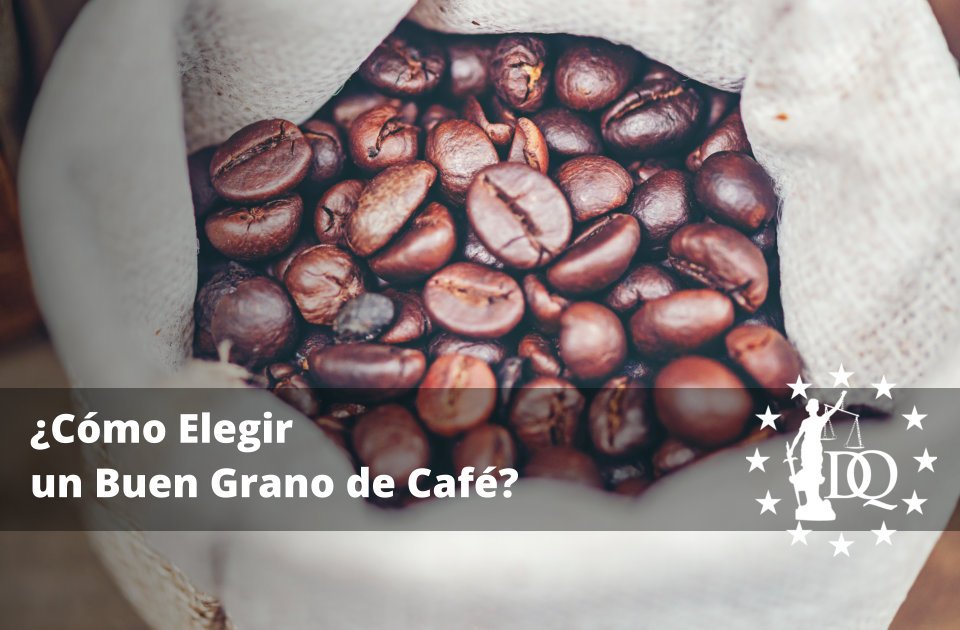 Cómo Elegir un Buen Grano de Café