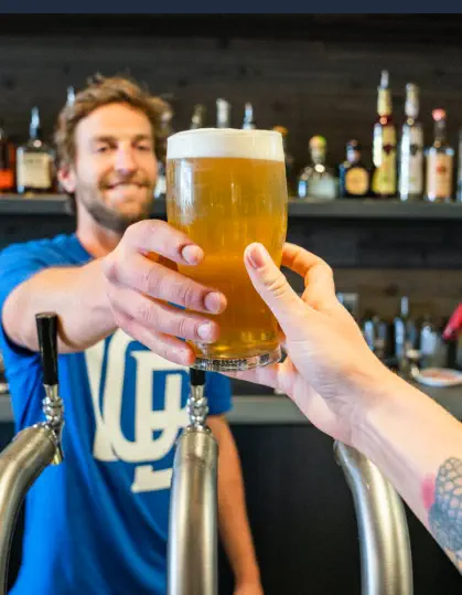 Curso de Camarero Online de Restaurante y Bar – Entregando una Cerveza Curso de Camarero Online de Restaurante y Bar - Entregando una Cerveza