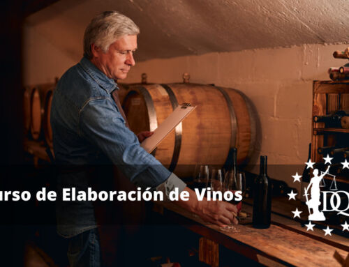 Curso de Elaboración de Vinos